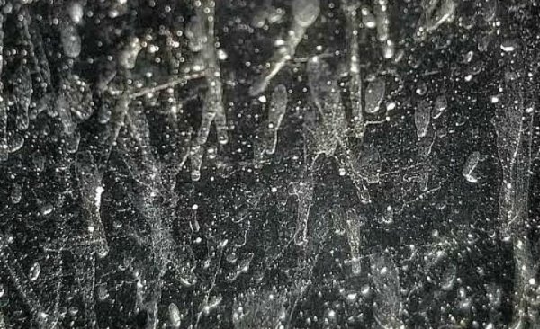 Pluie blanche